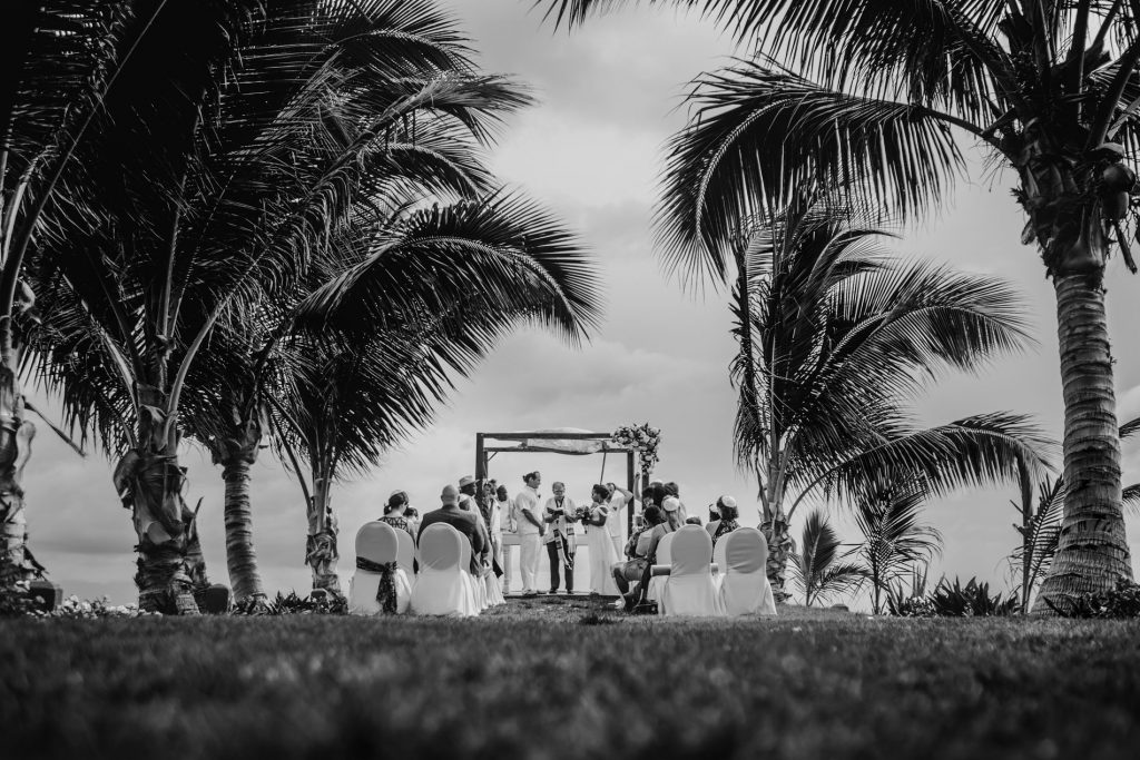 wedding-ceremony-palms-ocean-guest-beach