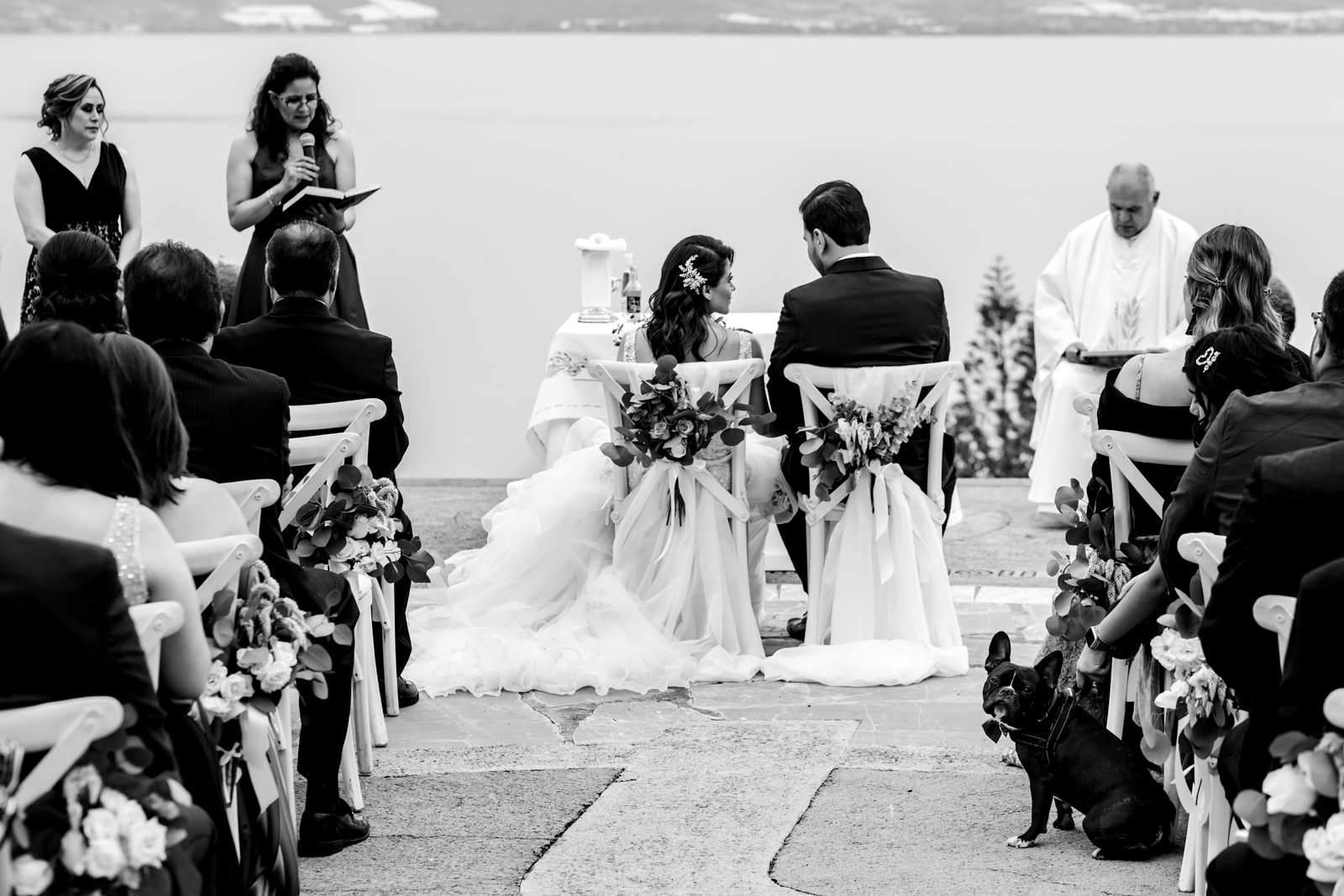 wedding ceremony bride and groom sit and a dog look on the camera 